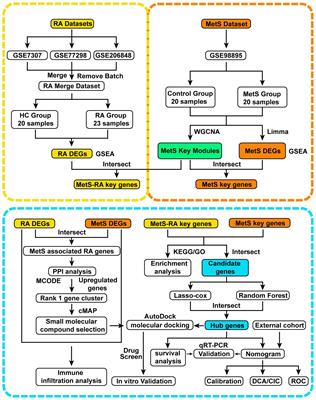 Identification of diagnostic genes and drug prediction in metabolic syndrome-associated rheumatoid arthritis by integrated bioinformatics analysis, machine learning, and molecular docking